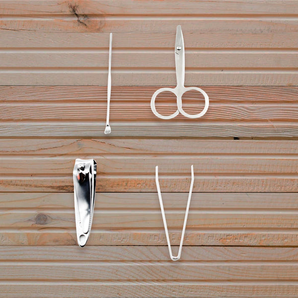 9146  Mini Nail Clipper Set Beauty Nail Tool Set Multifunctional Beauty Set With Plastic Storage Case,  (4 Pc Set)