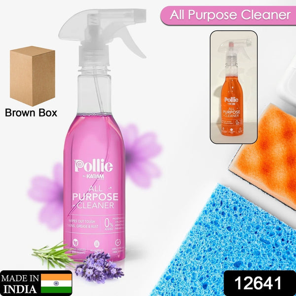 12641 All Purpose Cleaner | Kills 99.9% germs | Cleans Tough Stains, Grease and Rust on Gas Stove, Chimney, Kitchen Sinks, Walls, Rusty Surfaces ( 400gm )413_cleaning_liquid_spray_400gm