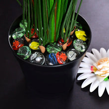 17802 Multi-Color Decorative Stone for Garden / Lawn / Aquarium Fish Tank Gravel / Flower Pots Decoration Pebbles for Fish Bowl & All Purpose Attractive Stone Set