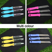 2596 Colorfull Peeler knife Combo For Home & Kitchen (Pack Of 12) DeoDap
